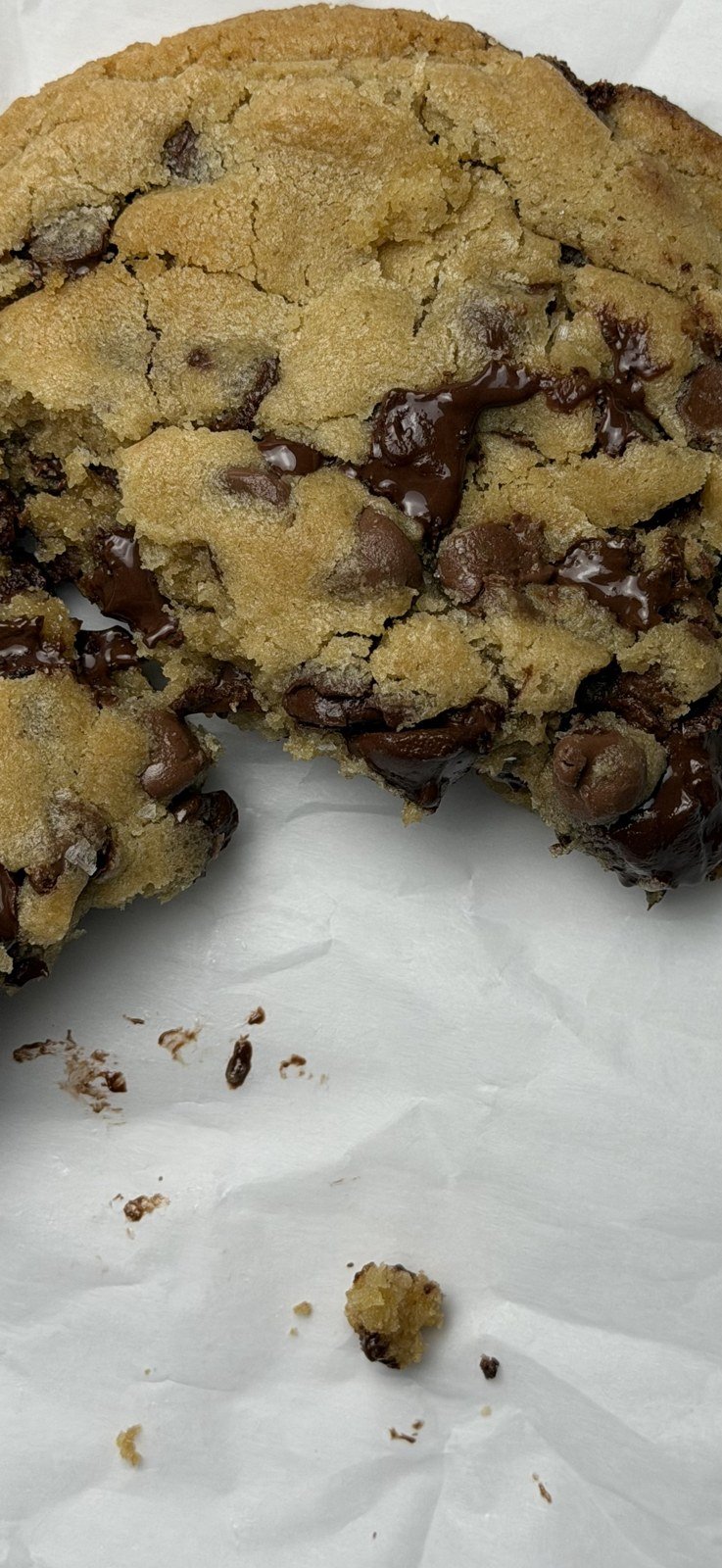 Triple Chocolate Chip Cookie